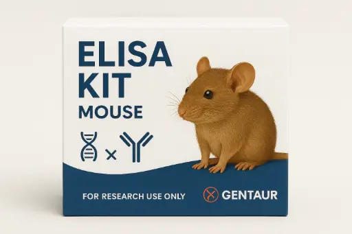 Mouse IL-10 ELISA Kit